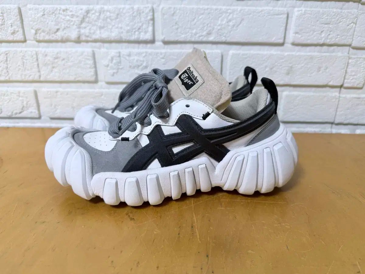 オニツカタイガー デンティグレス 240