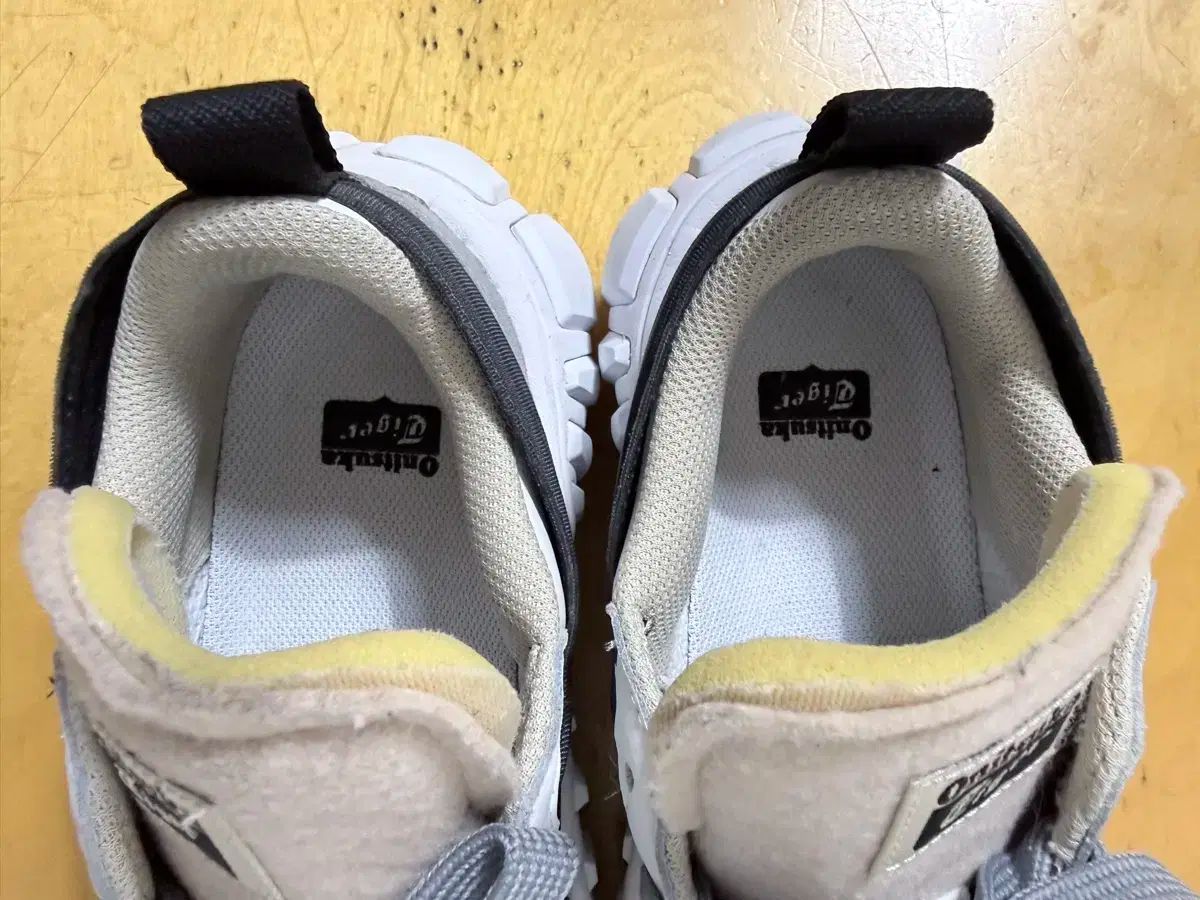 デンティグレス