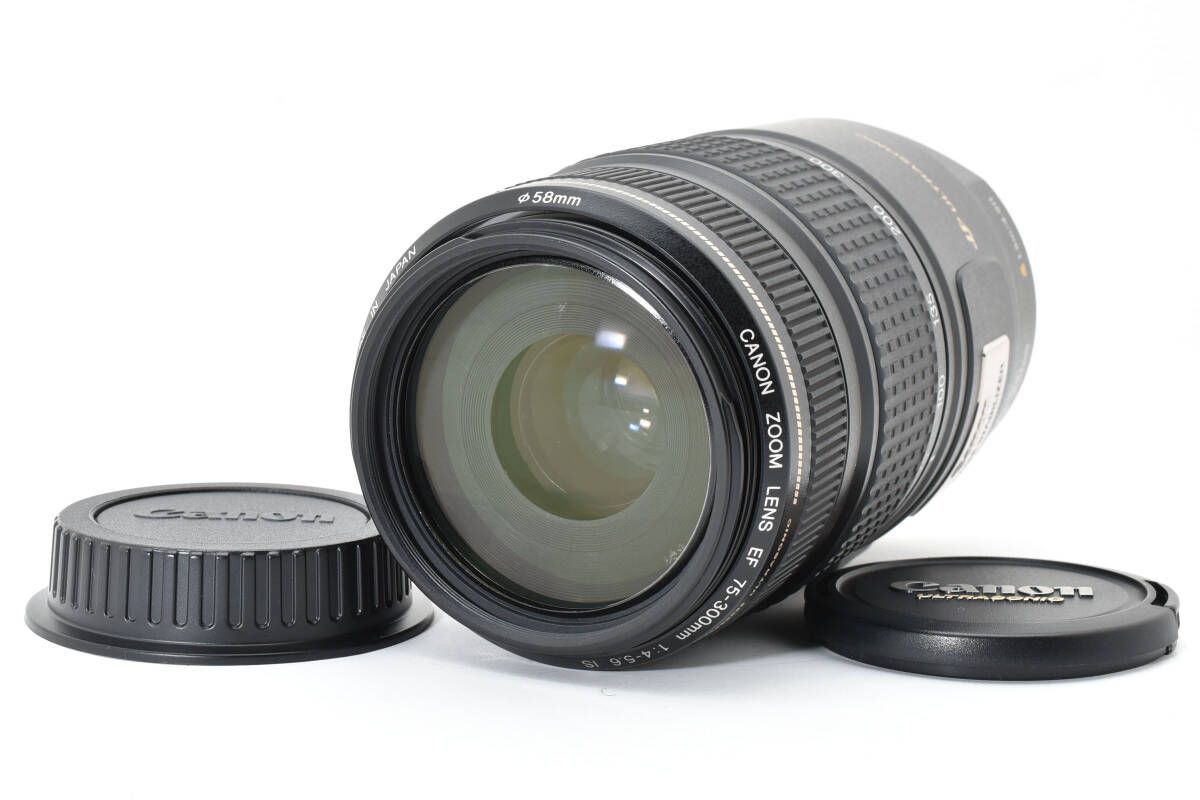 キヤノン Canon EF 75-300mm F4-5.6 IS USM 1995AW93