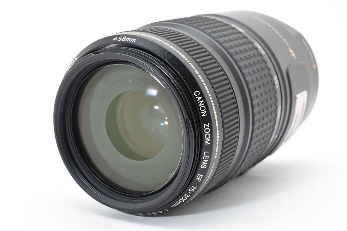 キヤノン Canon EF 75-300mm F4-5.6 IS USM 1995AW93