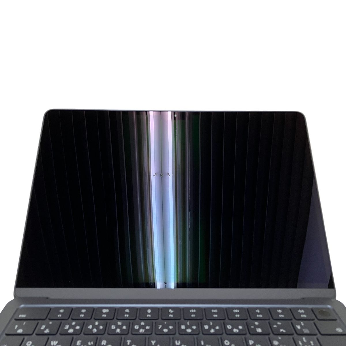 ジグソーパズル 2000ピース ジェニファーマークス トロピカル