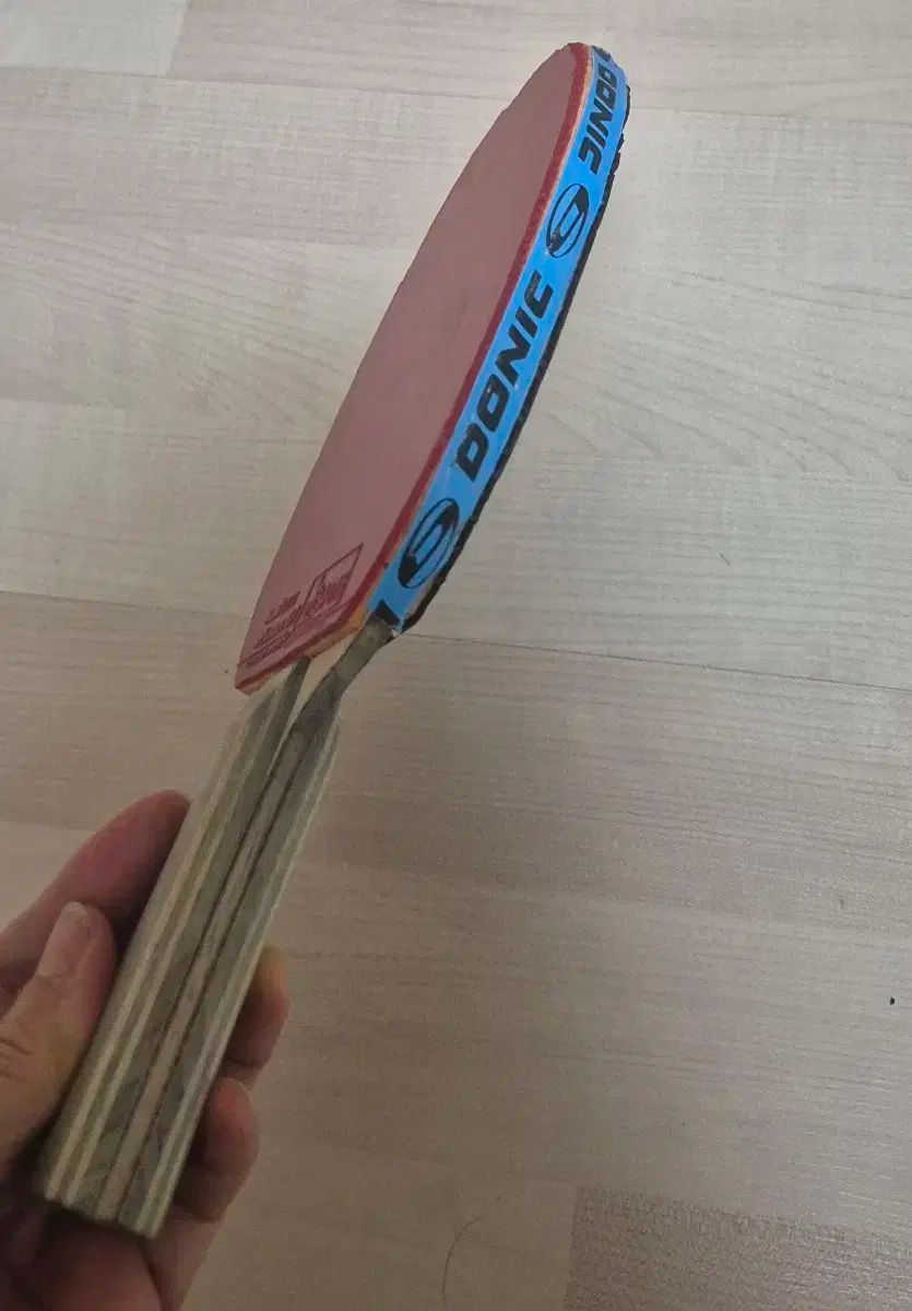 バタフライ ビスカリア