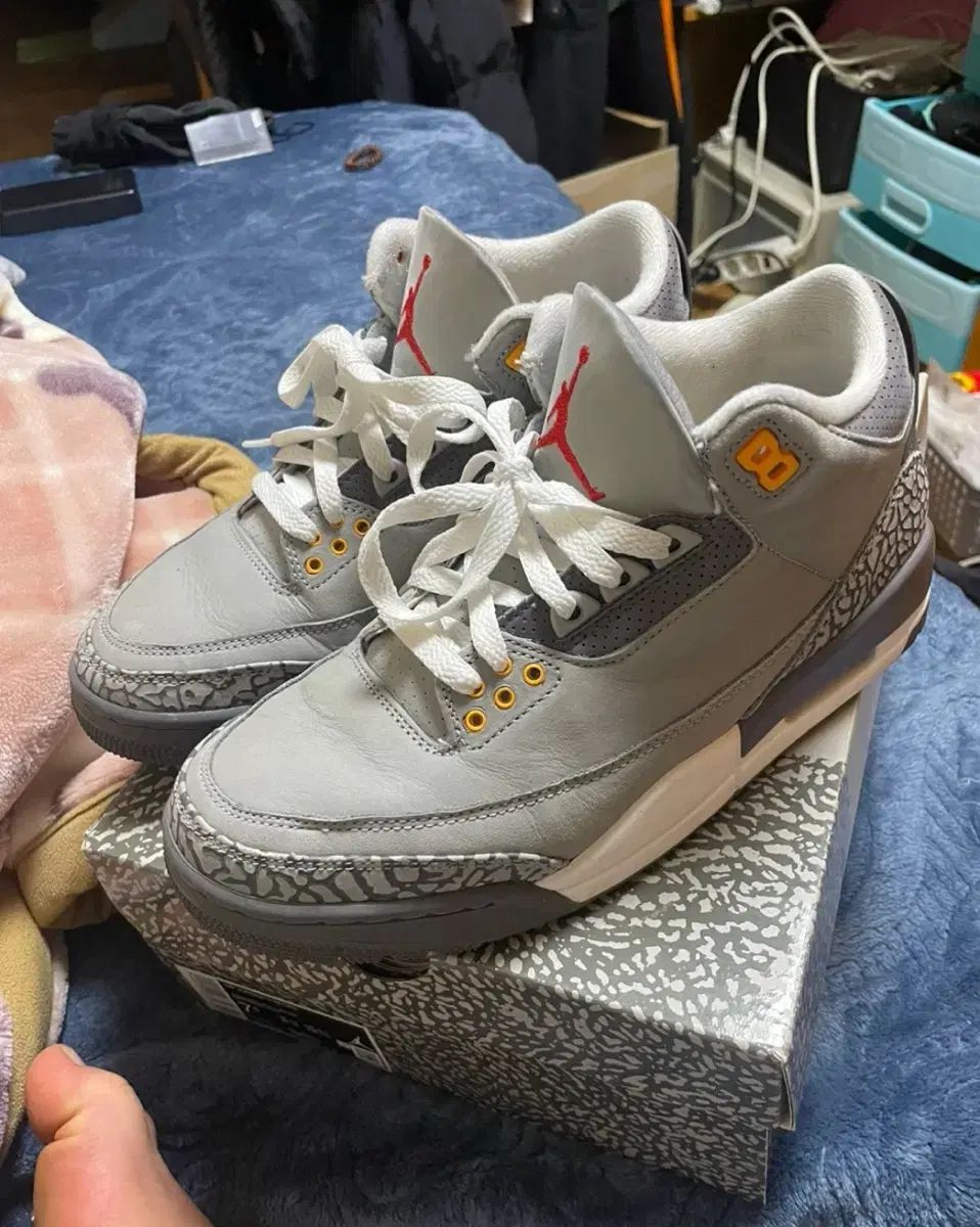 ジョーダン3 クールグレー 255