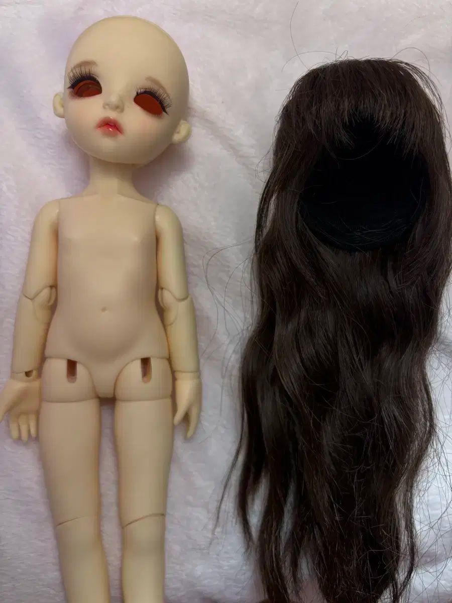 LINA chou ベーシック デイジー