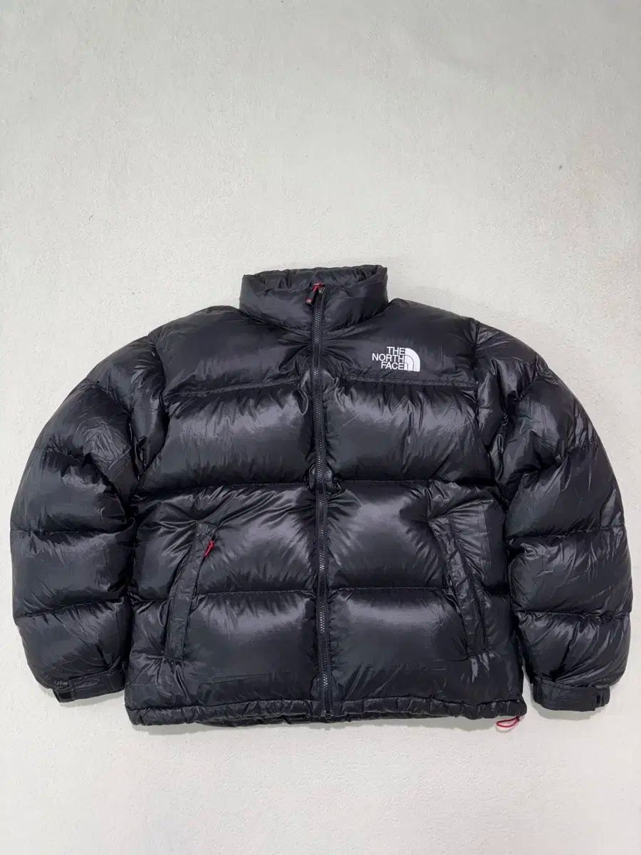 THE NORTH FACE ザノースフェイス サミット パーテックス ヌプシ ダウン 850LTD L 105-110