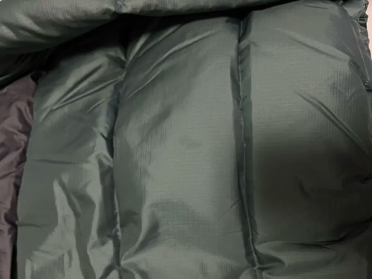 バウアー エプテクト