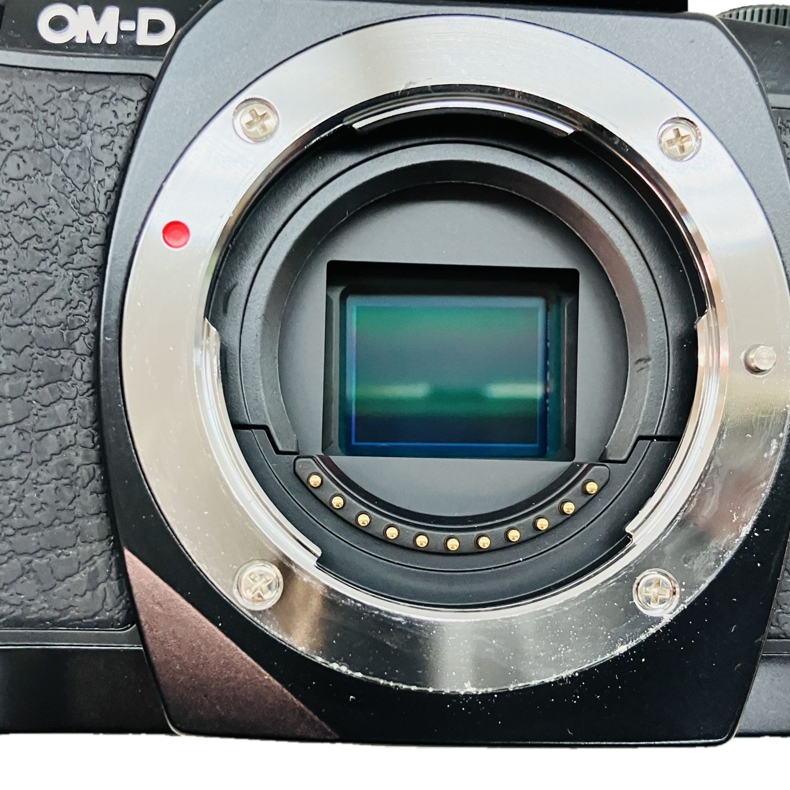 OLYMPUS OM-D