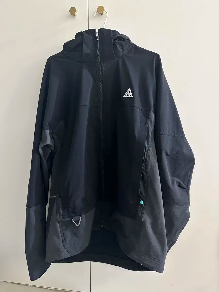 US EU NIKE ACG 썬페어러 ジャケット 海外L