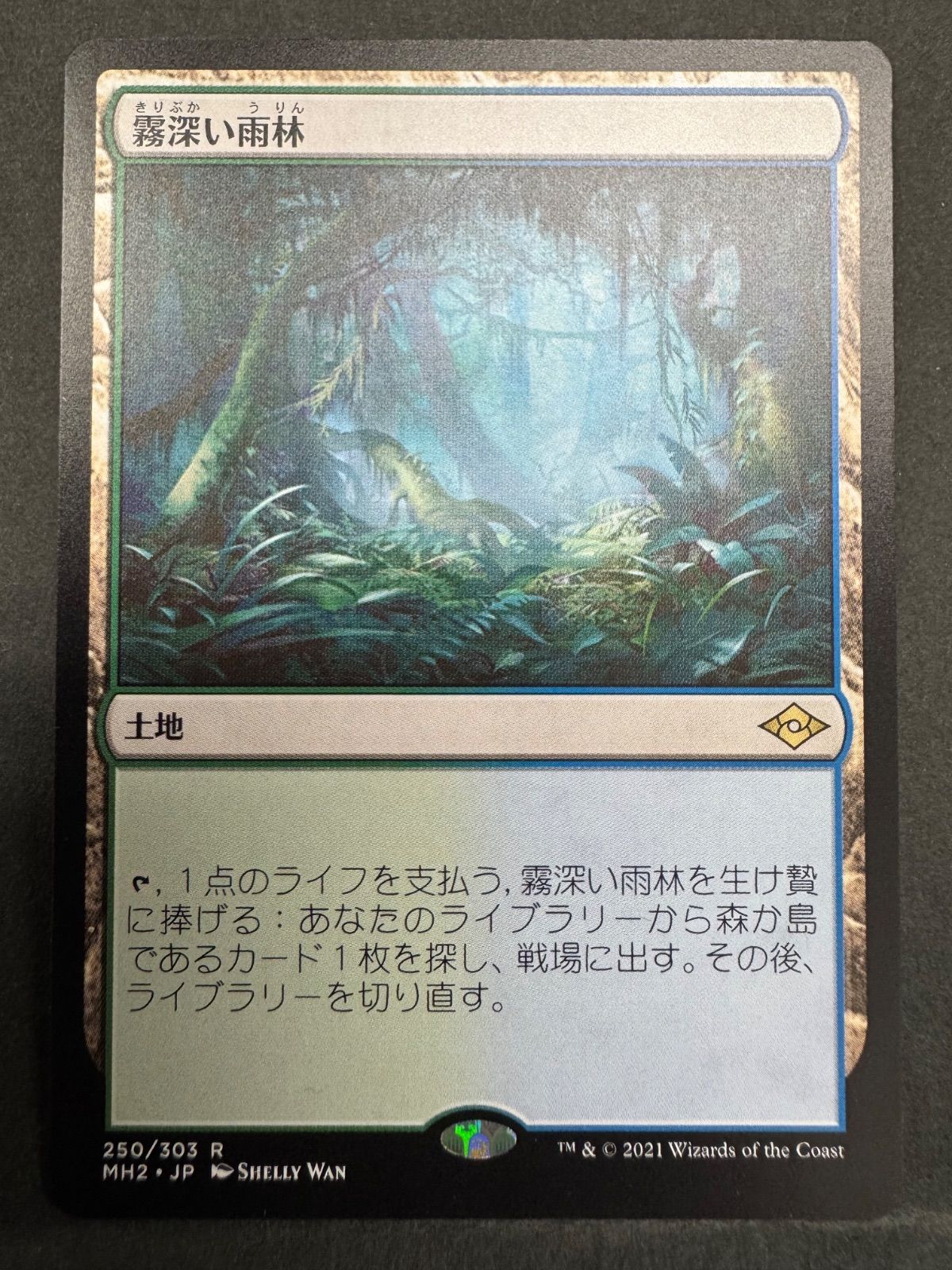 mtg 霧深い雨林　旧枠　英語　２枚 霧深い雨林 旧枠 英語 Shiro 霧深い雨林 旧枠 英語2枚 MTG