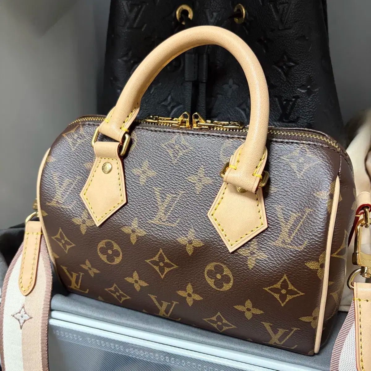 グラキリス 現地球 ブラックフライデー価格 _23 今年も