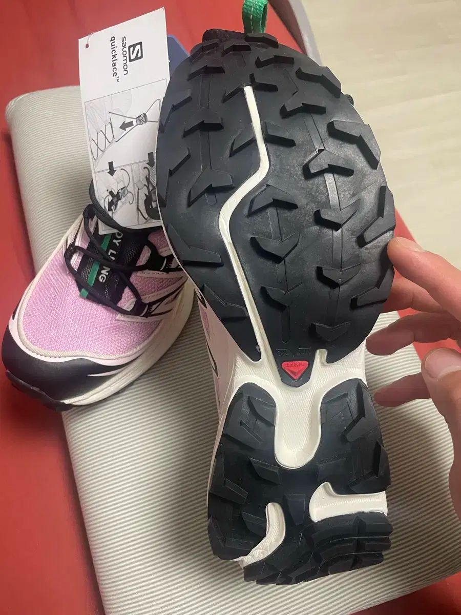 サンディーリアン