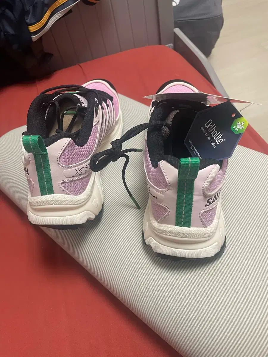 サンディーリアン