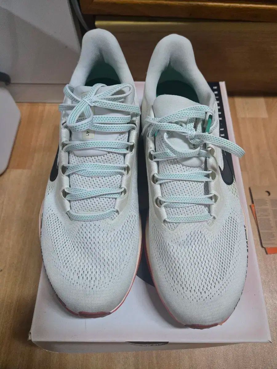 ランニングシューズ NIKE ペガサス 41 キプチョゲ 265mm