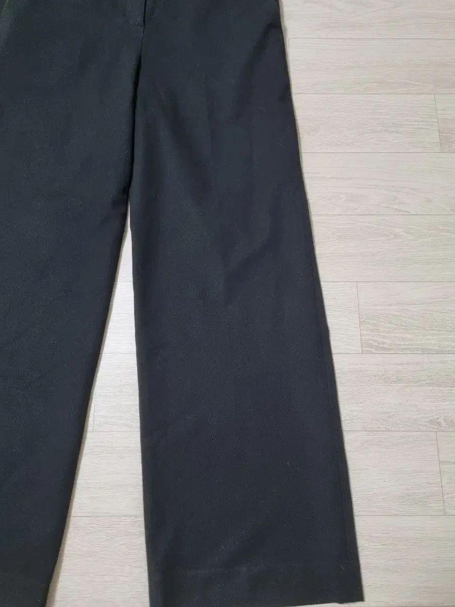 レディース セミ