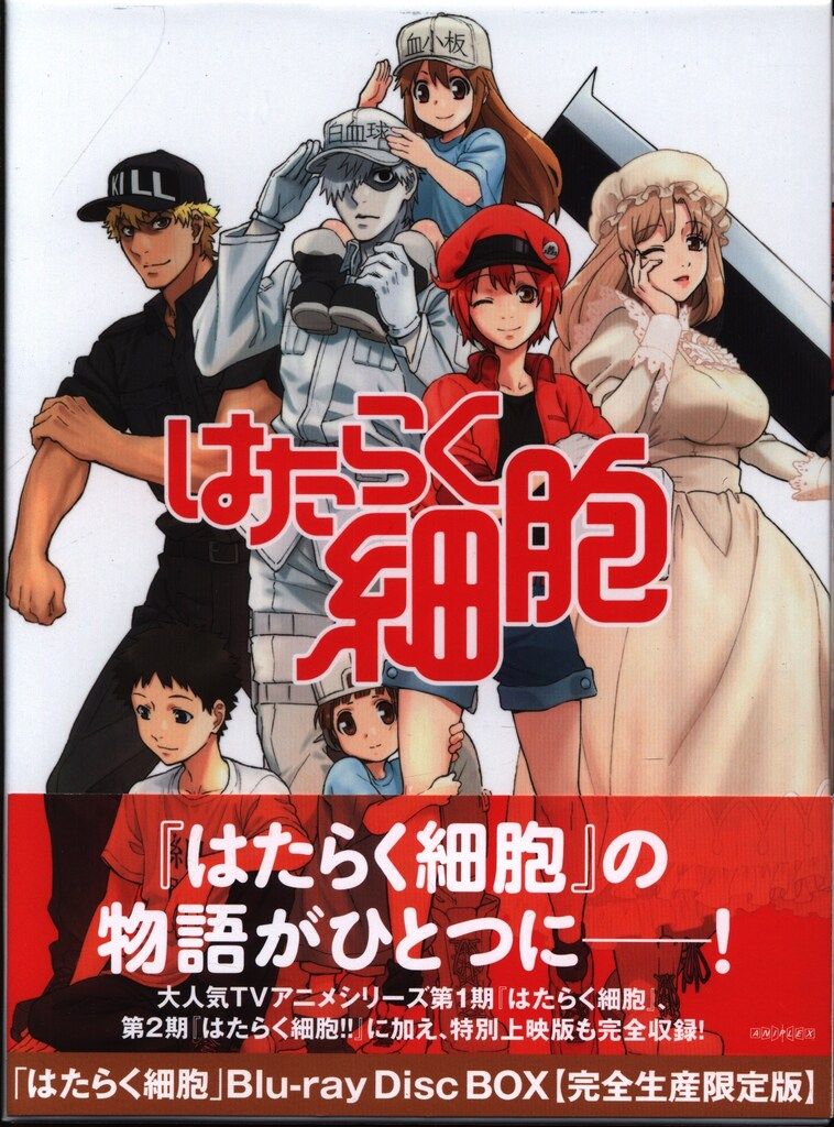 アニプレックス アニメBlu ray はたらく細胞 Blu Disc BOX 完全生産 版