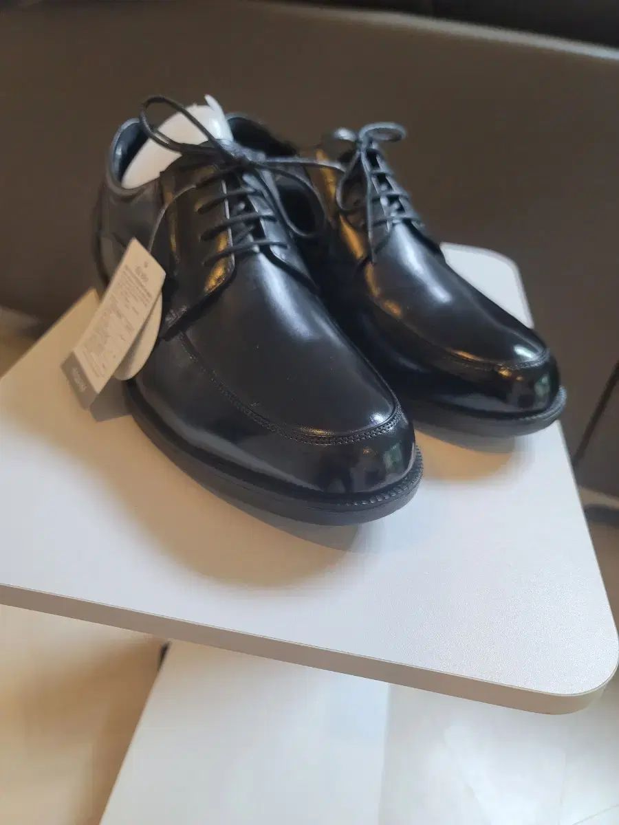 エスクァイア メンズ 靴 靴 255ee