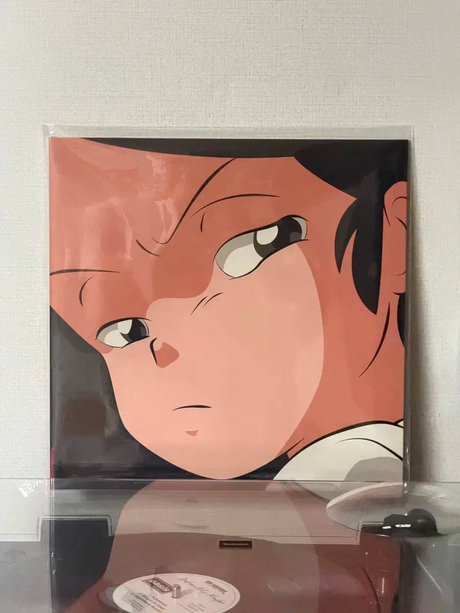 安土井 Catnip キャットニップ LP