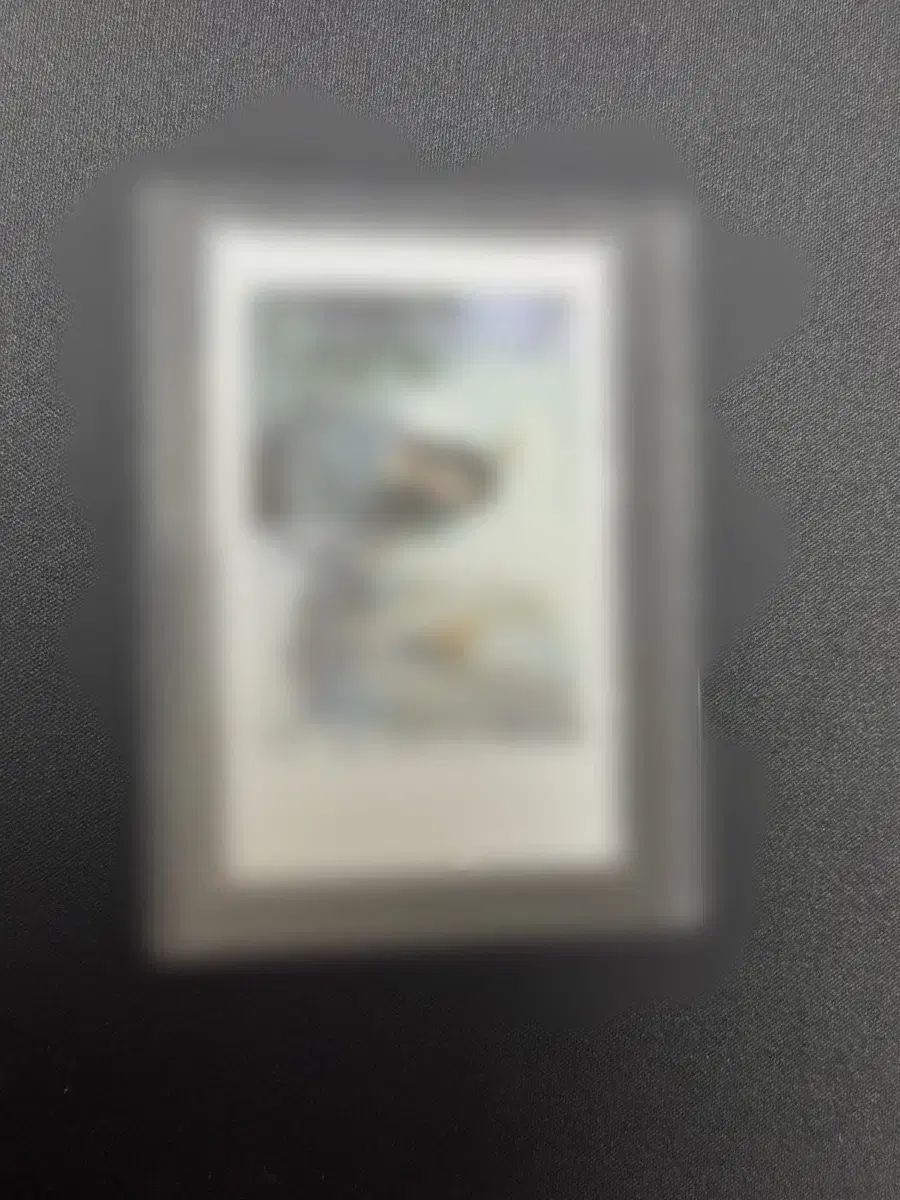 プロミスナイン イ ナギョン PP アトリエ サイン入りポラロイド