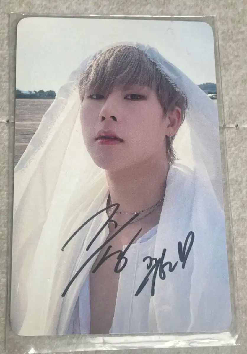 ジュホン Joohoney lights サイントレカ