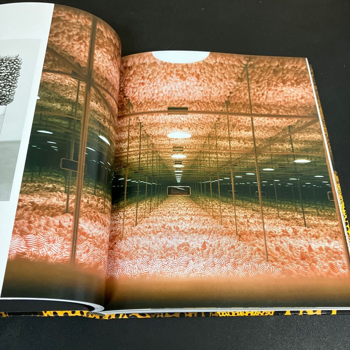  Yayoi Kusama Infinity Mirrors 草間彌生 洋書 作品集 DelMonico Books アート デザイン 音楽 本