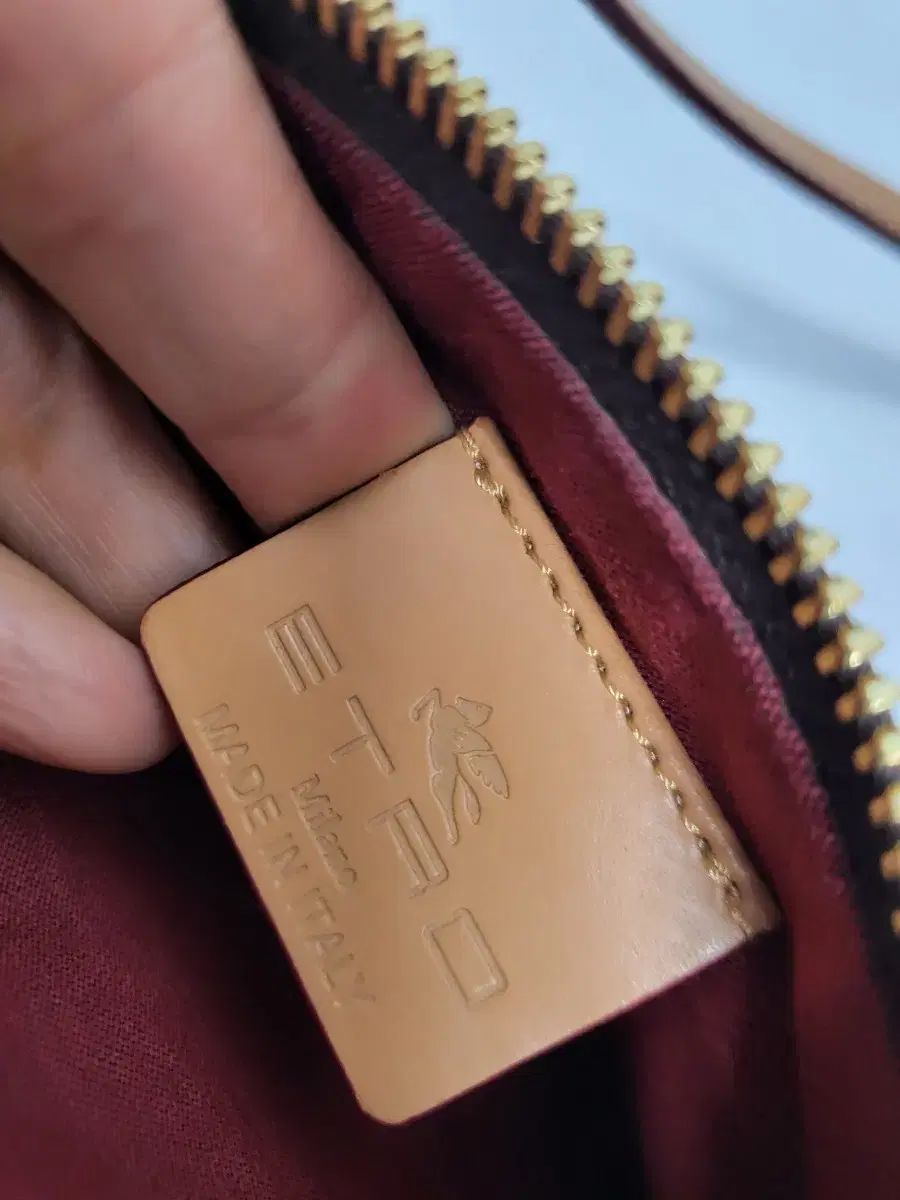 エトロ クロスバック