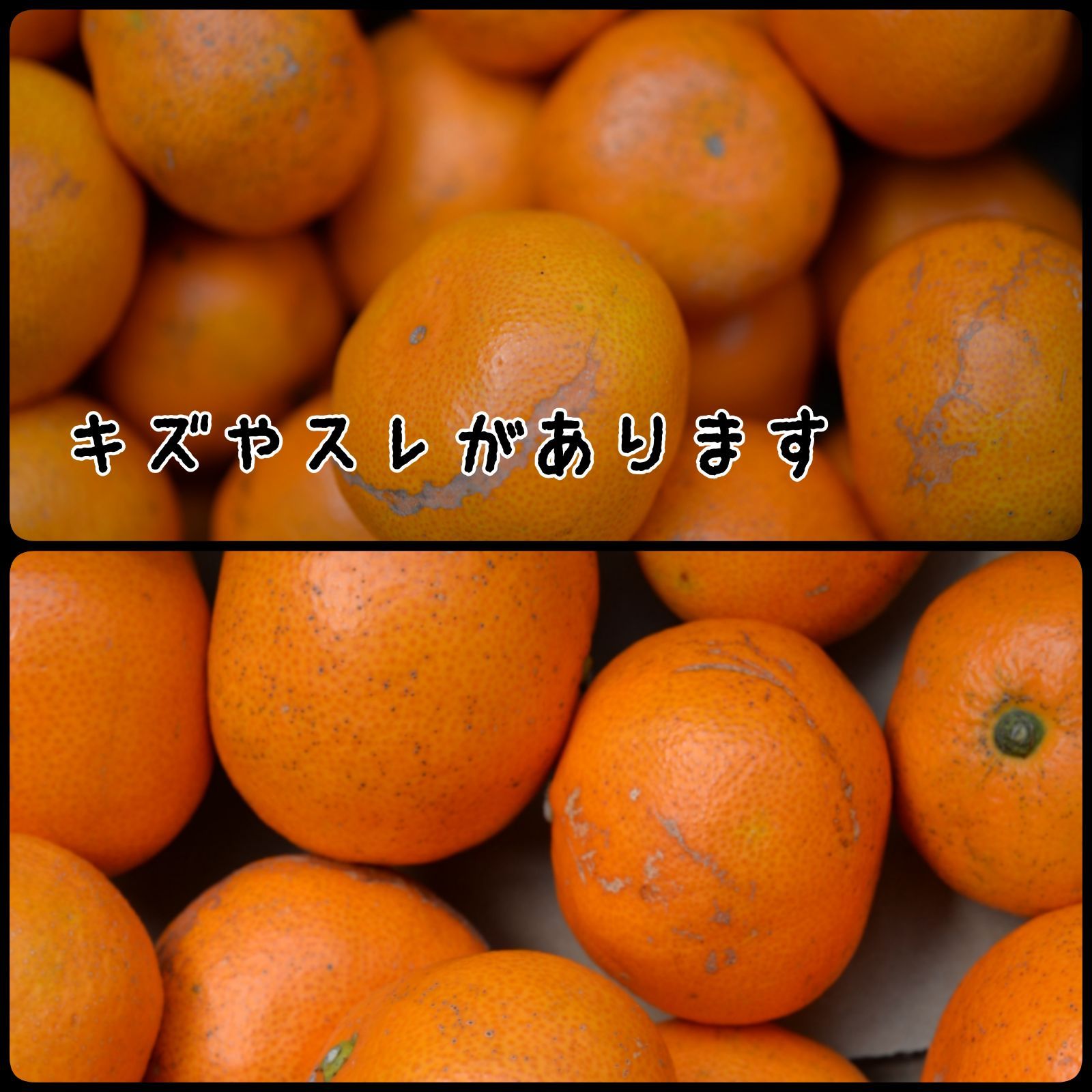 有田みかん 5kg 小玉A品☆家庭用☆農家のだんな - メルカリ