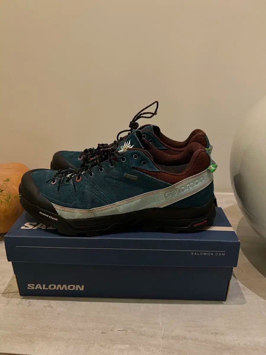 SALOMON ザ ブロークンアーム ディジャルフェ 265