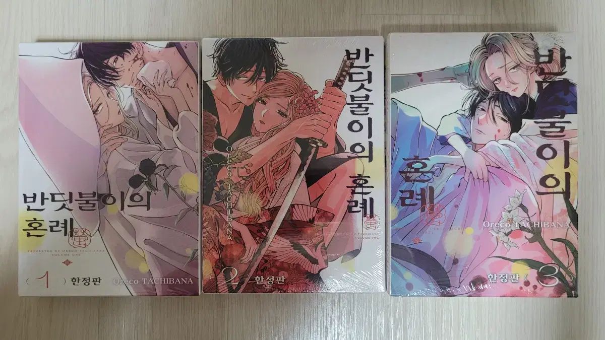 蛍の婚礼 1-3巻 モデル 漫画