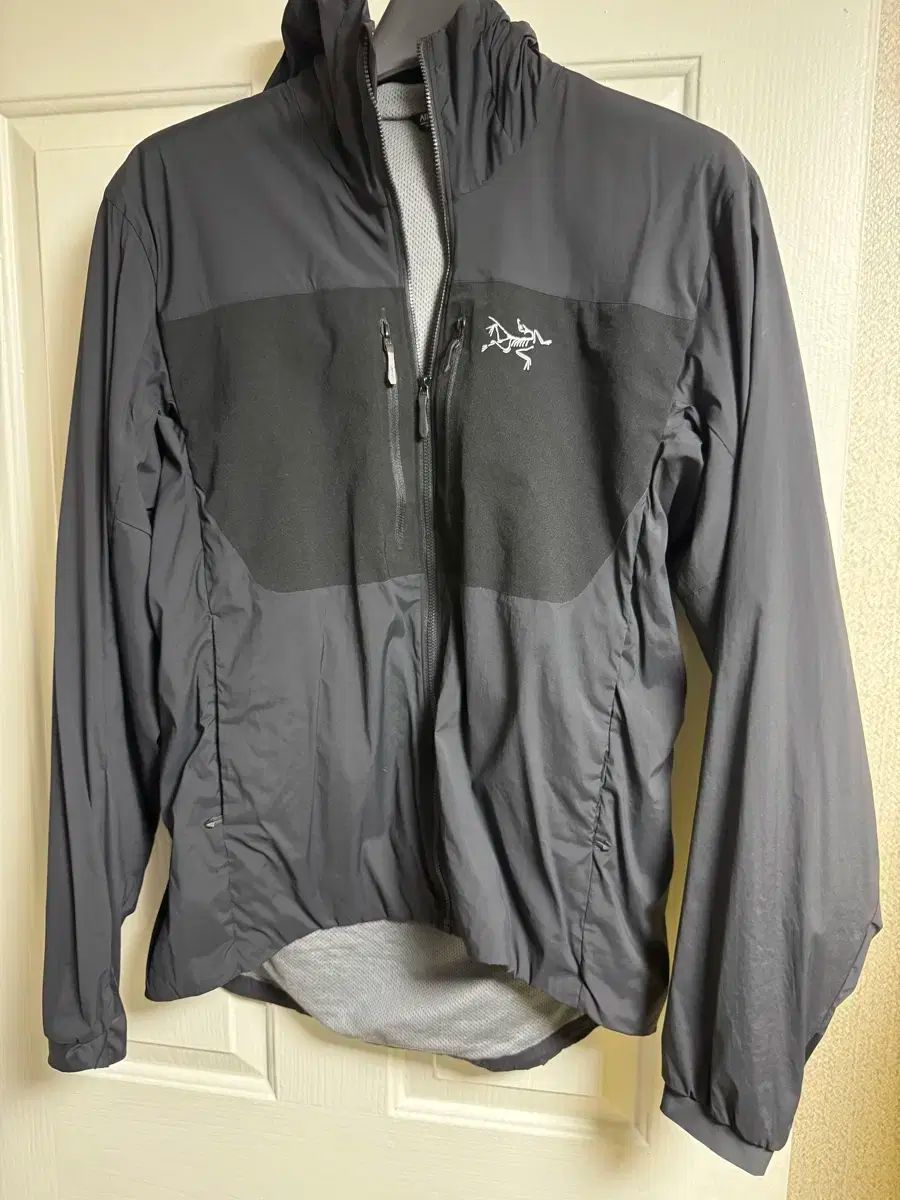 ARC TERYX アークテリクス プロトンフーディ WHO L ブラック