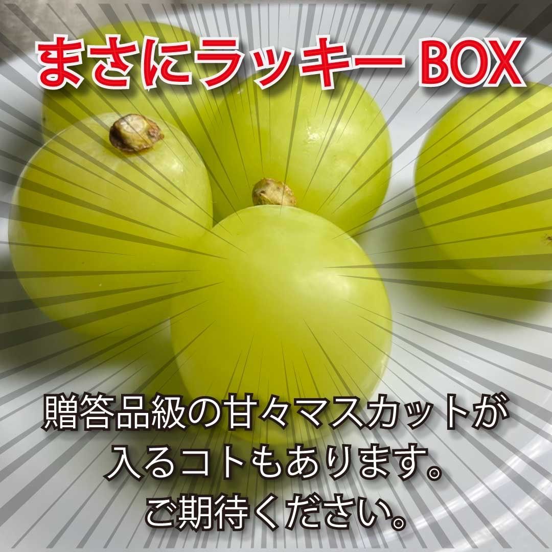 長野産シャインマスカット 訳あり粒売り 2kg - メルカリ