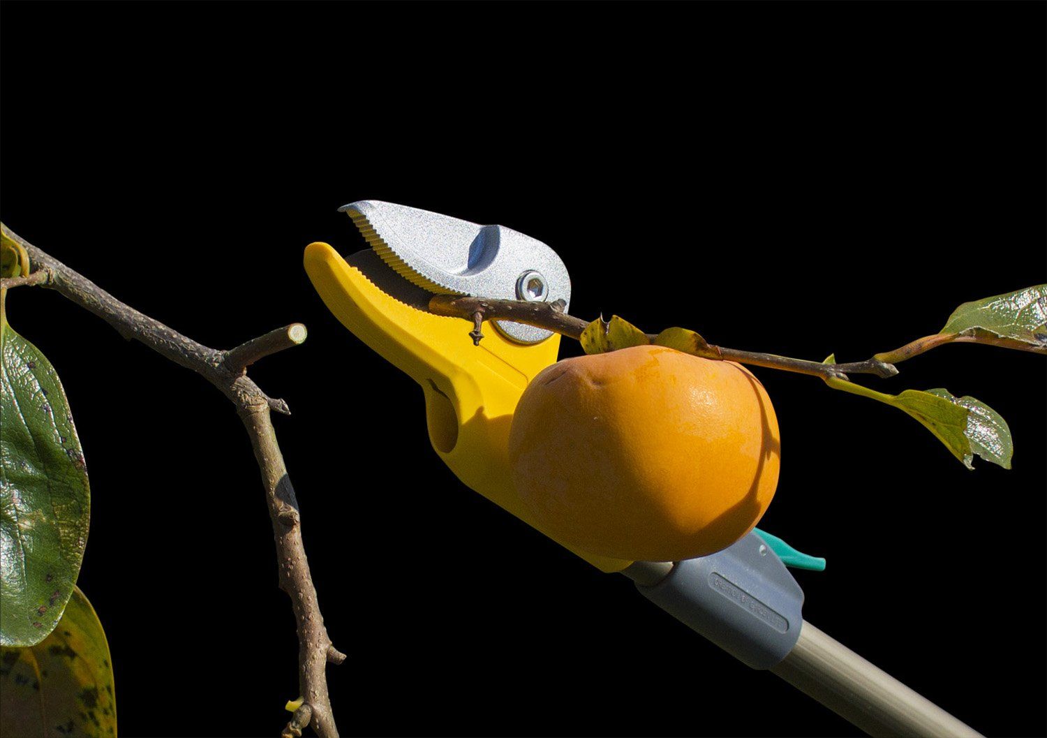 ムサシ 腕で押し切る新構造 高枝切鋏 すご腕プッシュカット 3段式 アンビル刃 531