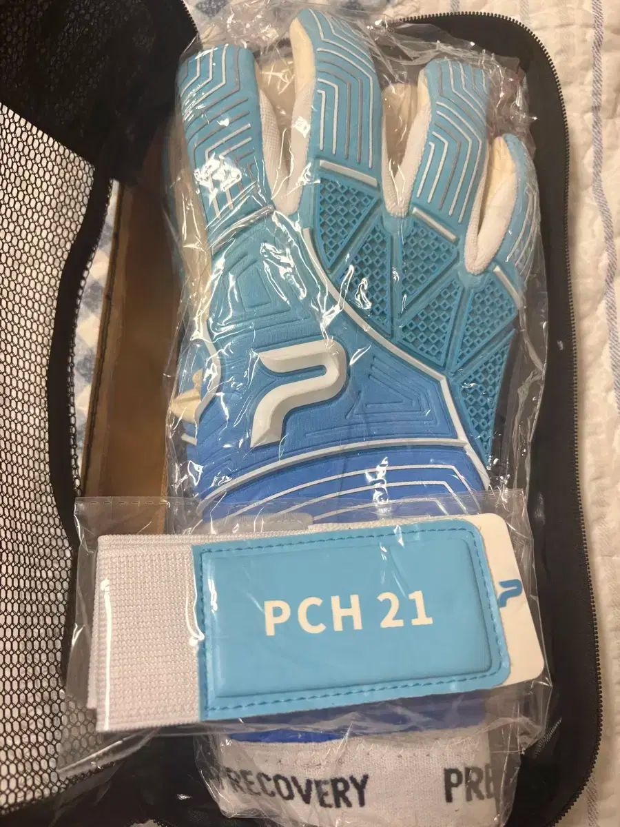 江原FC₍カンウォンFC パク チョンヒョ選手 キーパーグローブ