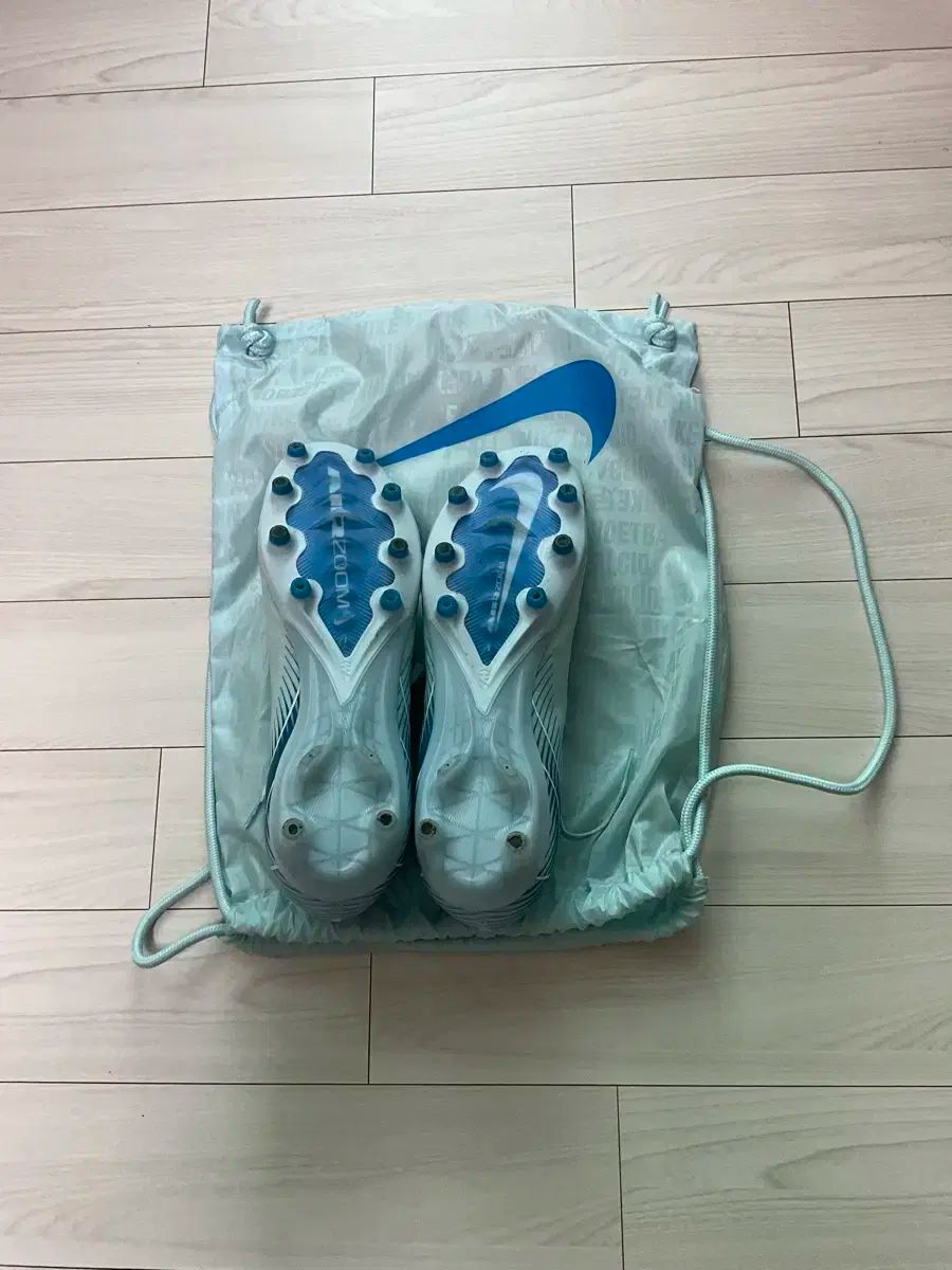 マーキュリアル