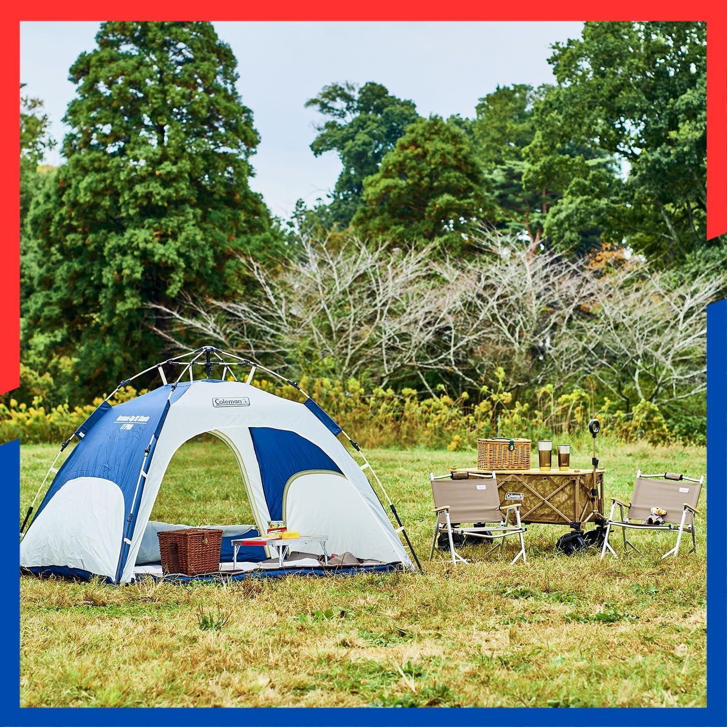 2185718 シェード