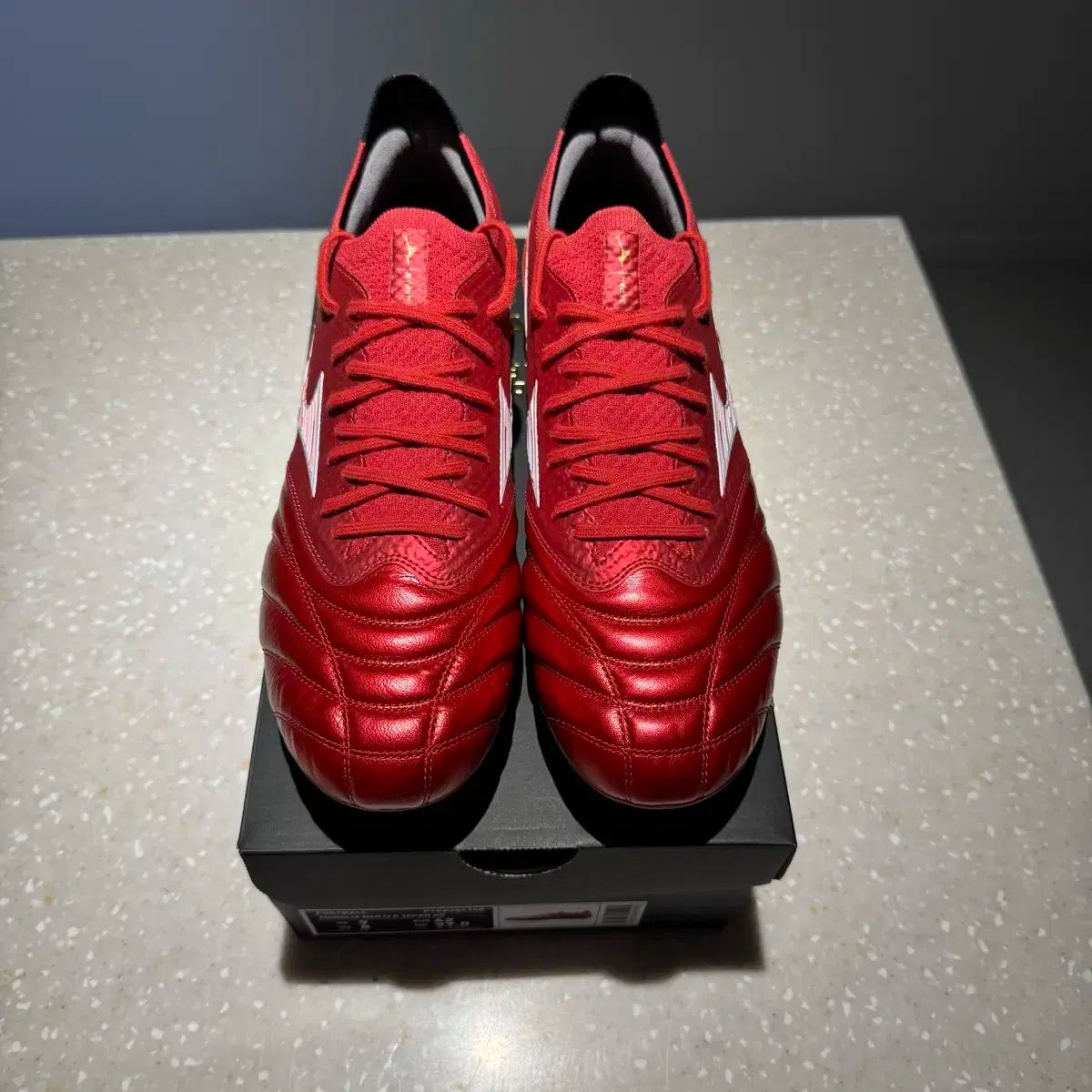 モレリア NEO₄ ベータ ジャパン AG 270