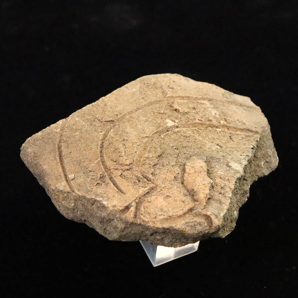 縄文土器 縄文中期 東北 地域 68 mm陶片 34 8 g 榎本通商22196