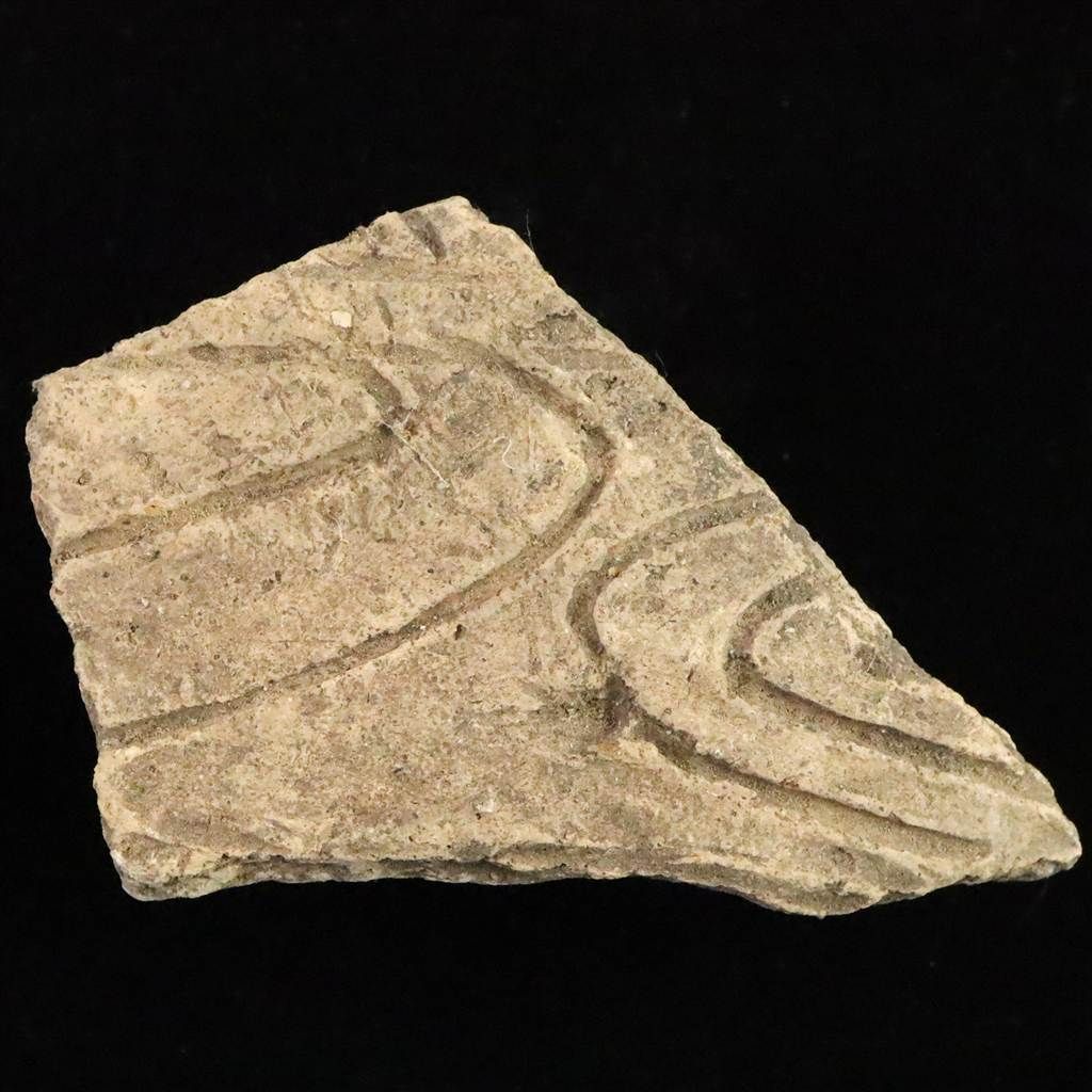 縄文土器 縄文中期 東北 地域 82 mm陶片 31 8 g 榎本通商83821