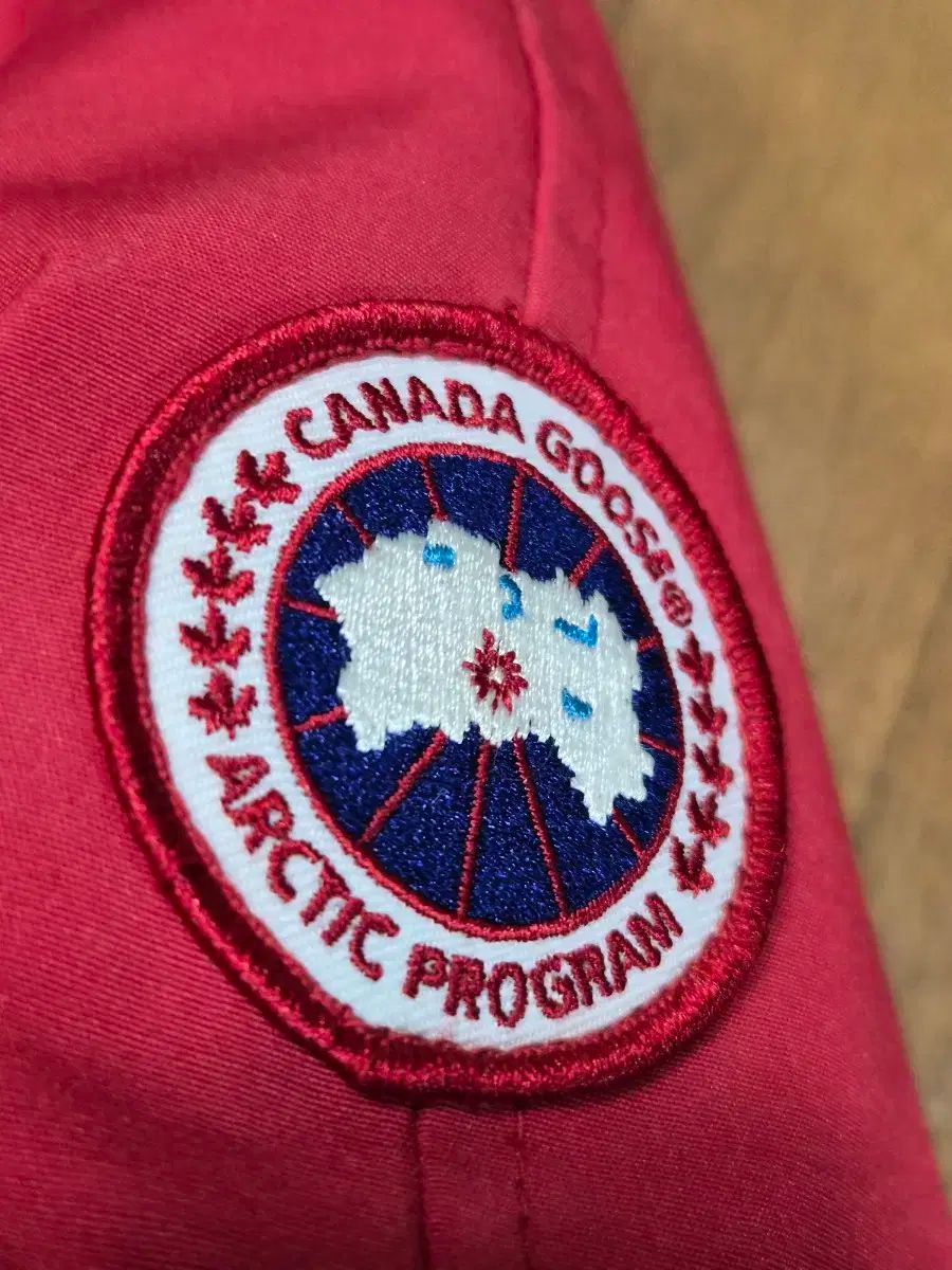 カナダグース 12 Y チリワック ダウン ブランド キッズ 子供