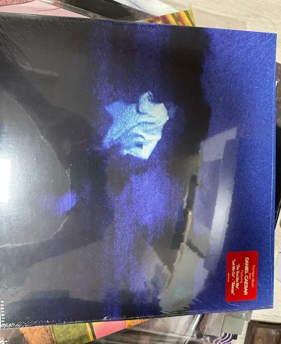 ダニエル DANIELLE シーザー Never Enough lp