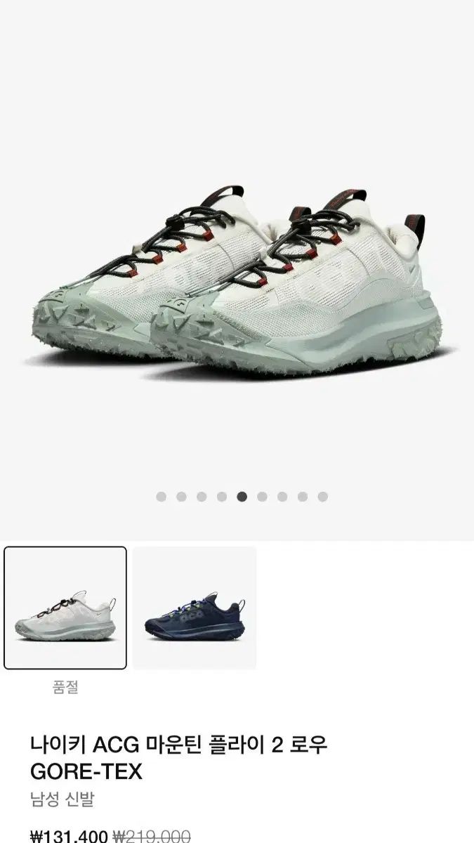 ナイキ ACG マウンテン フライ2 ロー GORE-TEX