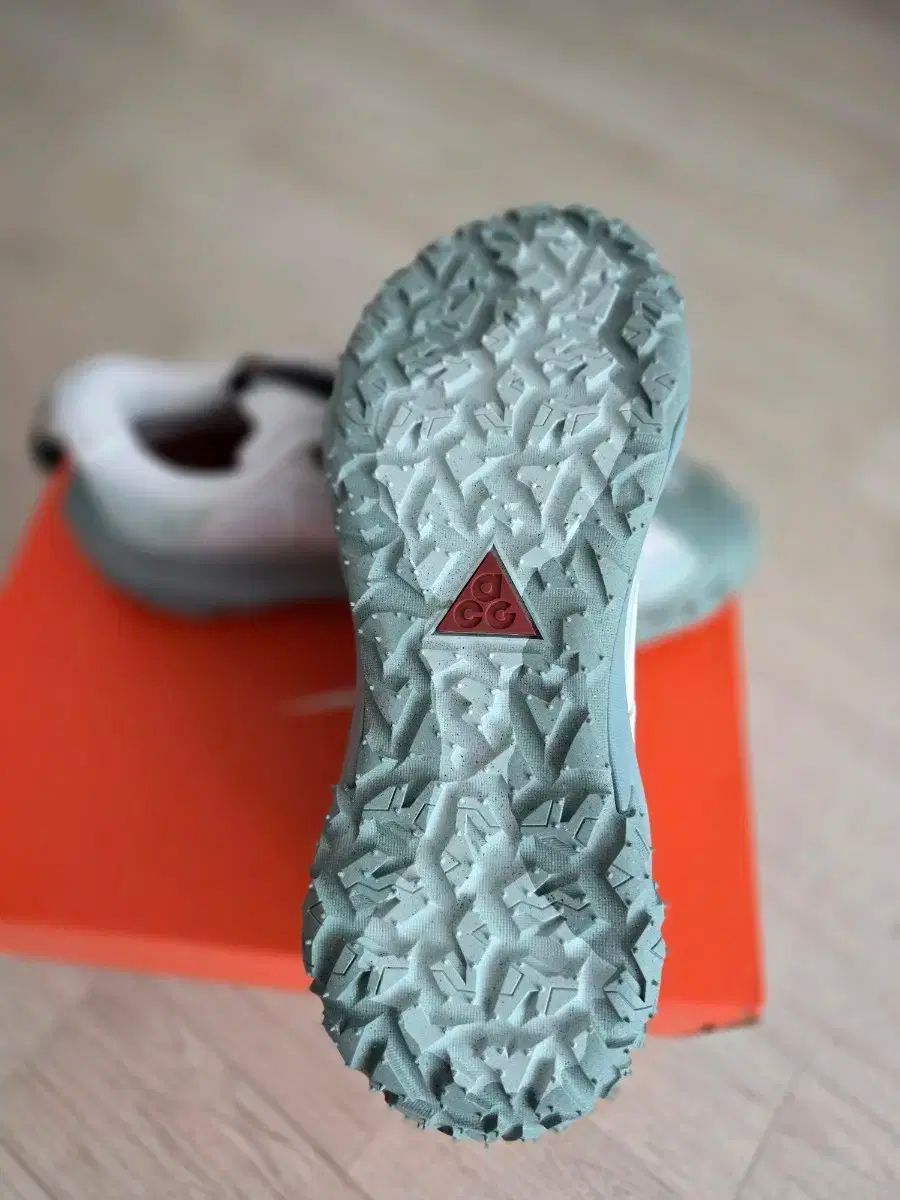 マウンテン フライ2