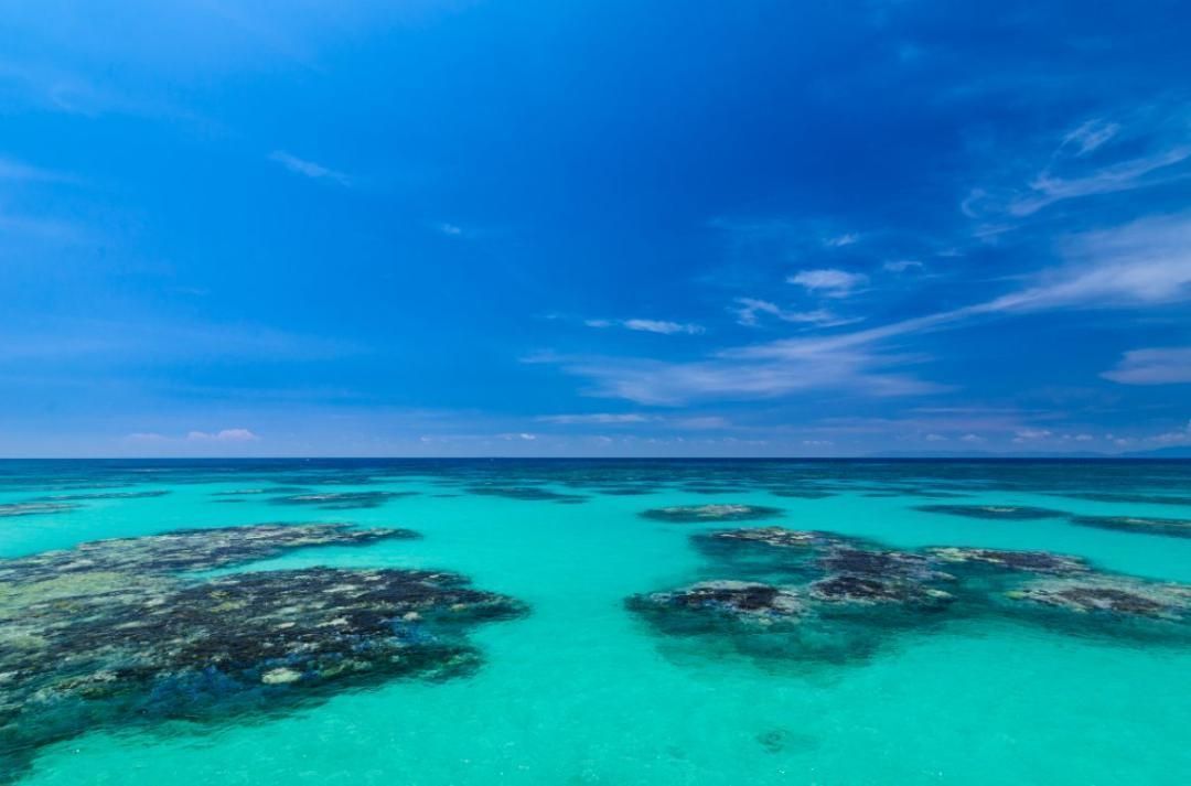  キャノン用 超広角ズーム TOKINA AT X PRO 11 16 mm F 2 8 116 レンズ(ズーム) カメラ