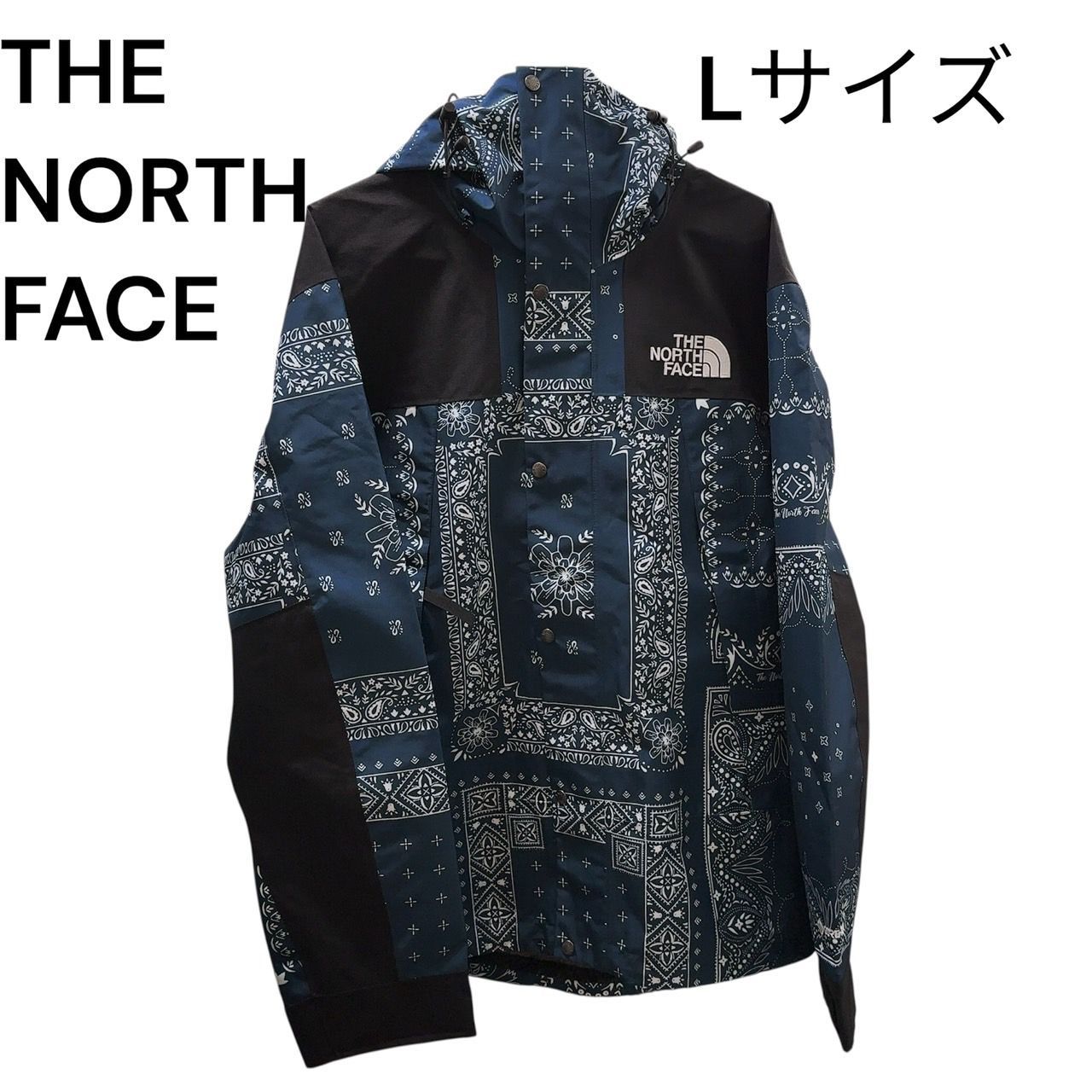 ノースフェイス マウンテンジャケット ゴアテックス ペイズリー