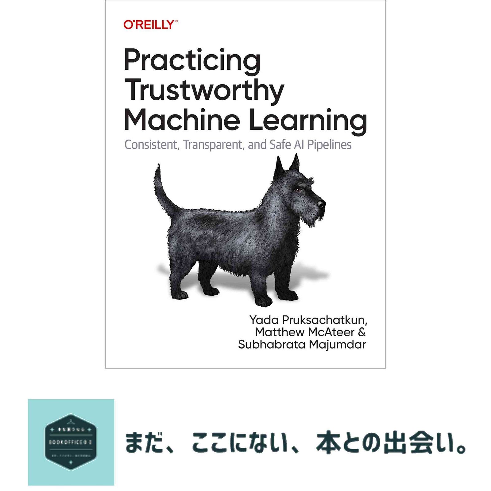 Practicing Trustworthy Machine Learning Consistent Transparent and Fair AI Pipelines ペーパーバック Pruksachatkun