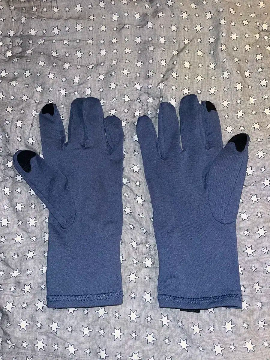 ARC TERYX アークテリクス 手袋