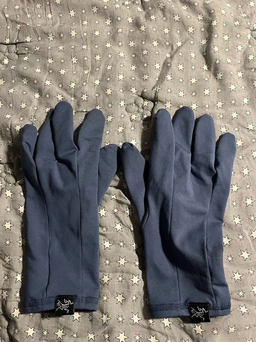 ARC TERYX アークテリクス 手袋