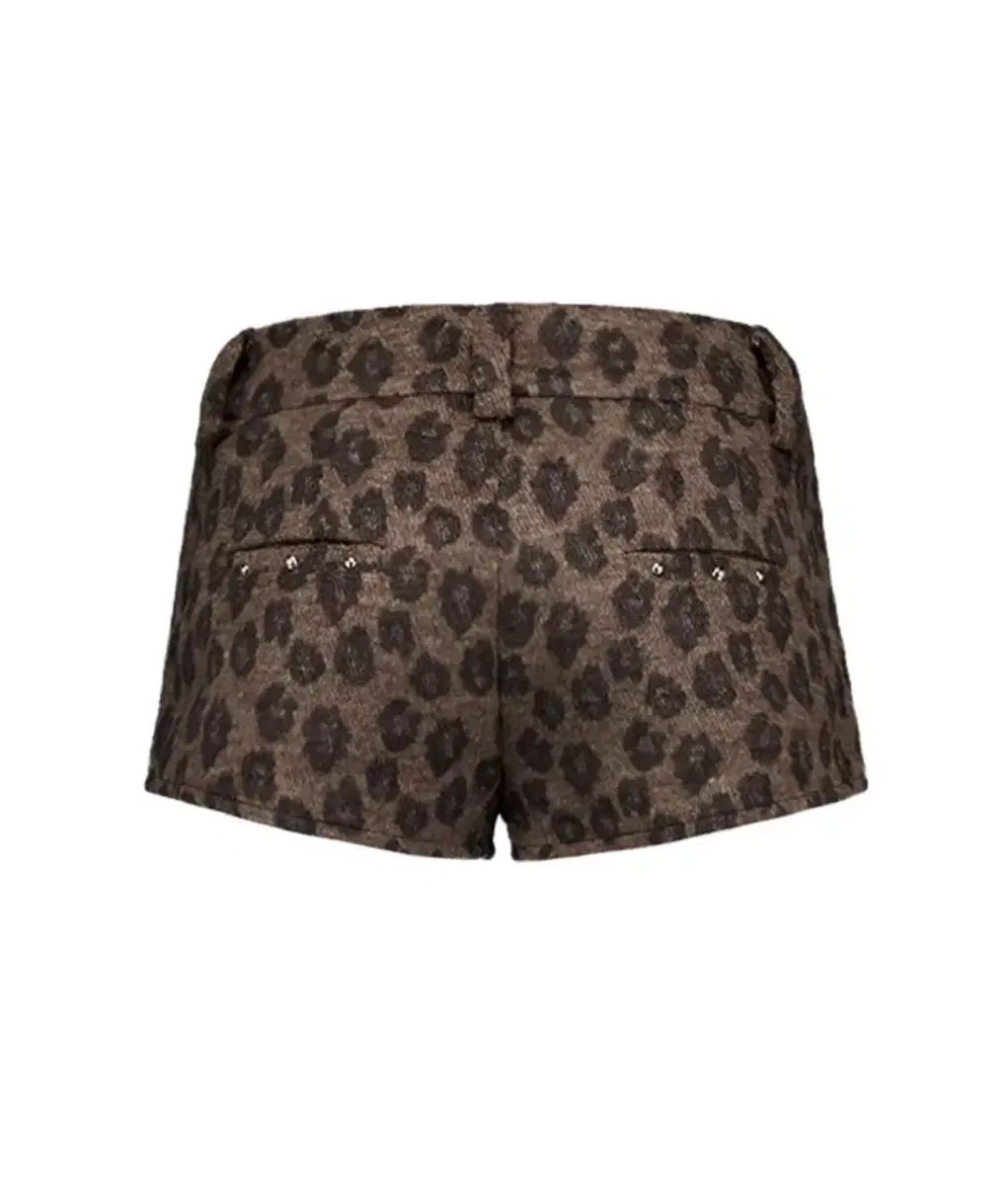 セットアップEX レオパード