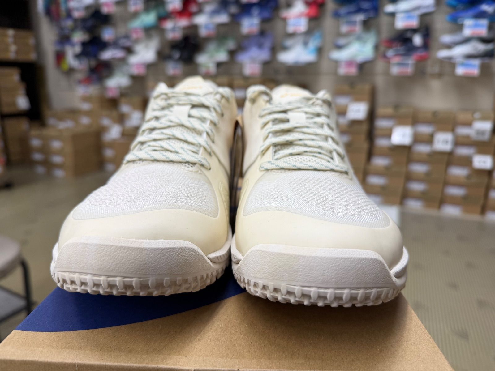 5 OC ASICS オムニクレー用