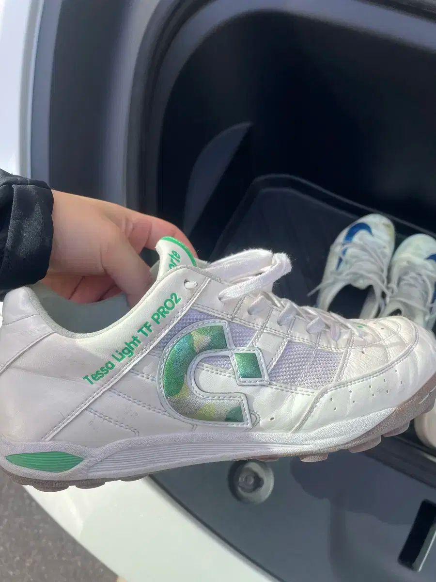 デスポルチ テサラ ライト 255