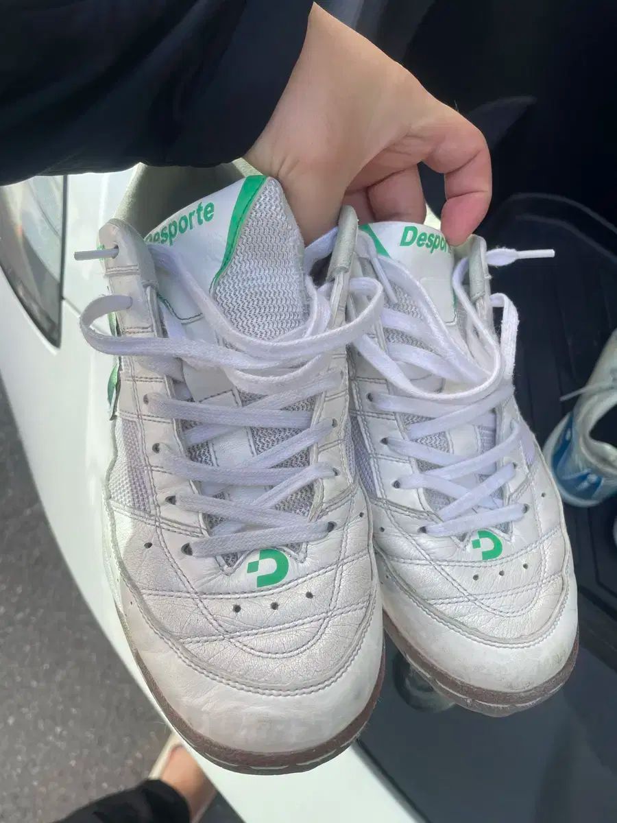 デスポルチ テサラ ライト 255